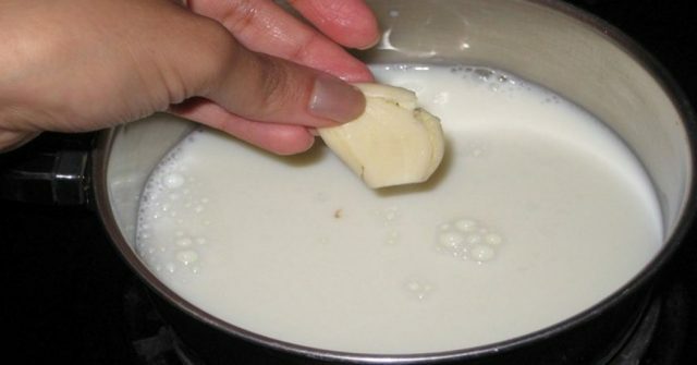 mlieko s cesnakom