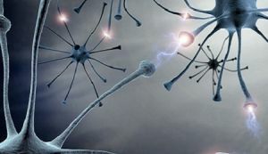 Destruction of nerve cells