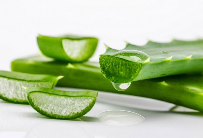 Aloe gastrită: cura, suc cu aciditate ridicată