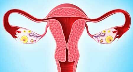 Los ovarios multifoliculares, ¿qué es?