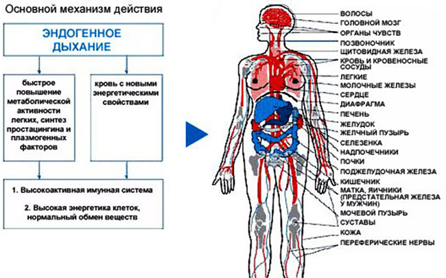 Aparato Frolov (simulador de respiración). Instrucciones de uso, revisiones.