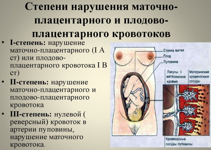 Violación de la DMO grado 1a / b durante el embarazo. Lo que es