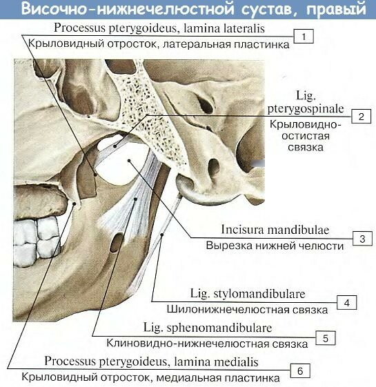 Dysfunkcia temporomandibulárneho kĺbu. Príznaky a liečba