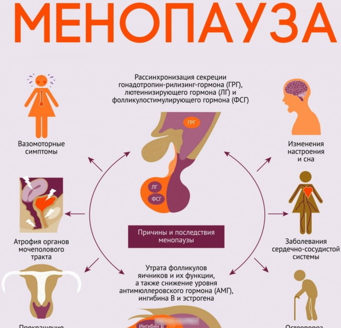 Wie die Wechseljahre (Menopause) bei Frauen beginnen. Symptome, Zyklusdauer