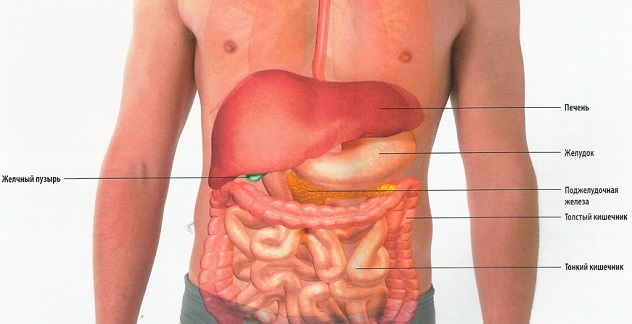 What are the symptoms when the pancreas hurts?