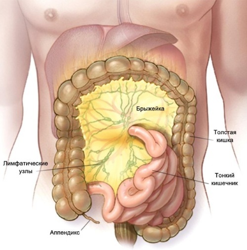 Mesenteric lymphadenopathy in children of the abdominal cavity, intestines. Causes, treatment