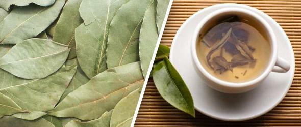 Infusion of bay leaf removes itching, causes tissue regeneration and kills pathogenic bacteria