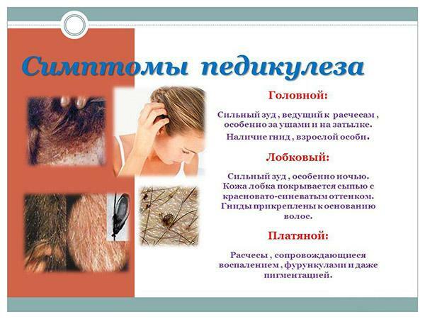 Symptoms of lice