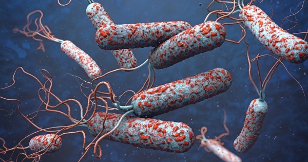 Kolera hos människor. Tecken, symptom, orsaker och behandling