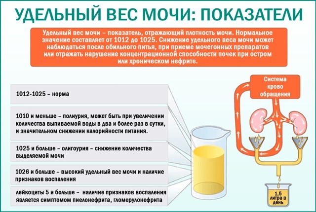 Zimnitsky test. Description of the procedure and preparation for it