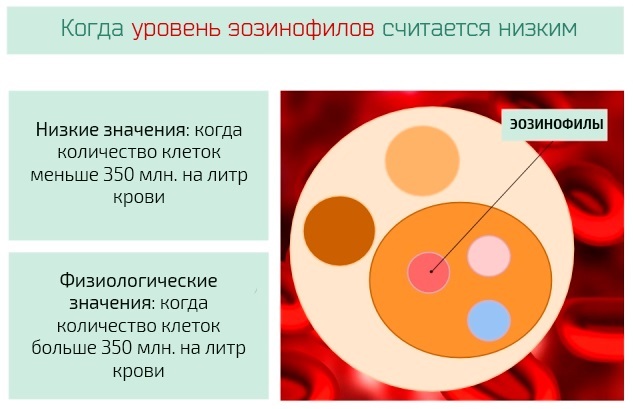 Eosinophils are lowered in a woman, an adult, a child. What does it say, what does it mean, how to increase