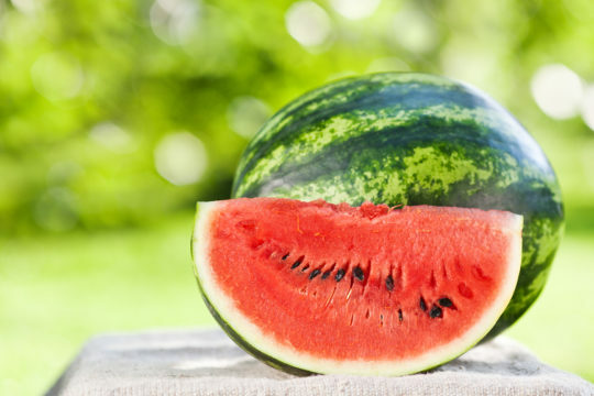 Watermelon with pancreatitis