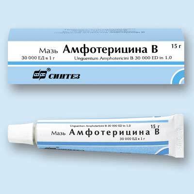 Amphotéricine B