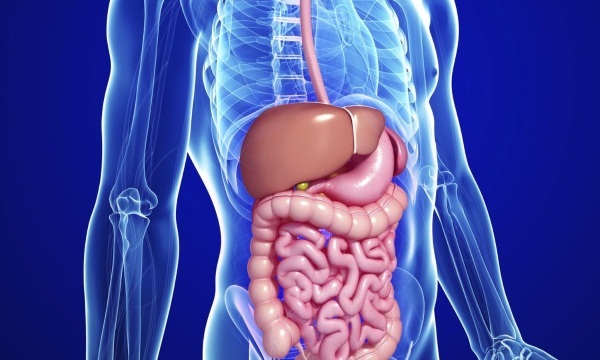 El tracto gastrointestinal humano (GIT). Anatomía, estructura, enfermedades, síntomas, tratamiento.