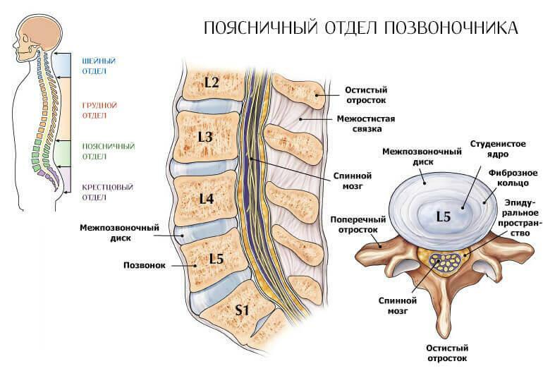 Osteohondroza lumbosakralne hrbtenice: simptomi, faze, vzroki