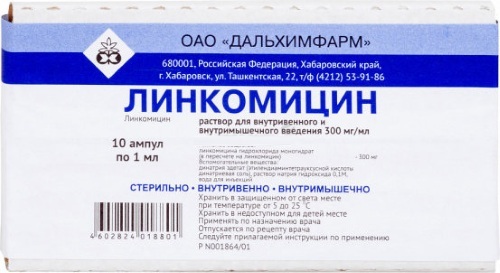 Lincomycin (Lyncomycin) i ampuller. Pris, brugsanvisning, dosering
