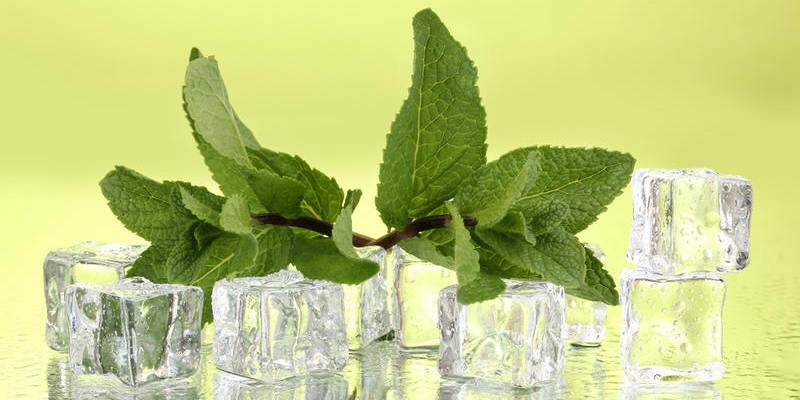Mint increases or lowers pressure