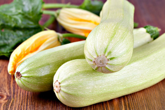 Courgettes med pancreatitis