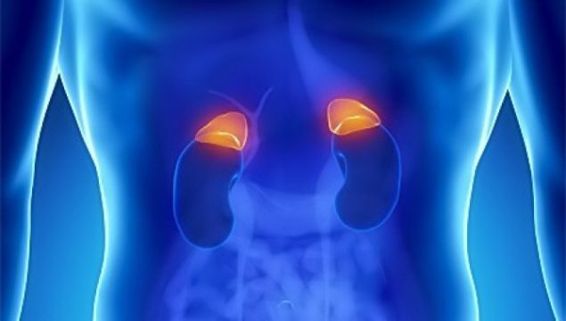 Acute adrenal insufficiency in children and adults