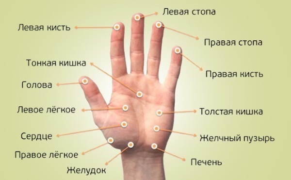 Acupuncture points on the human body. Atlas, for self diagram slimming. How to make the right massage