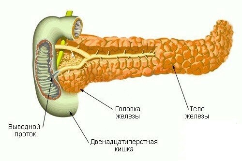 Usturoi cu pancreatită