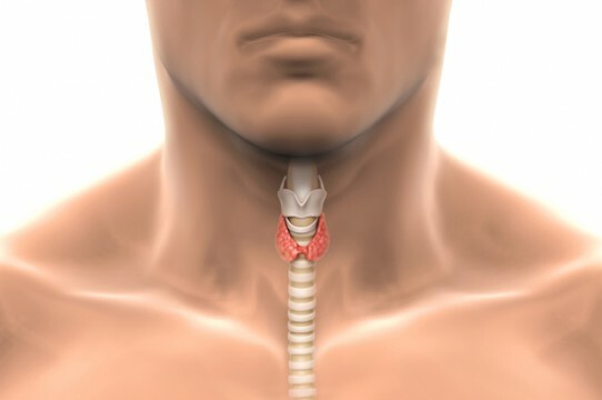Problems with the thyroid gland in men
