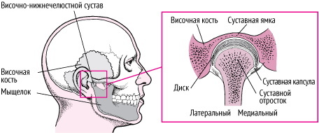 Temporomandibular eklem. Anatomi, yapı, fonksiyonlar, tedavi