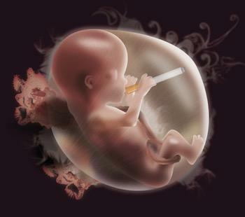 In che modo il fumo influisce sul feto e sui vasi sanguigni di una donna incinta?