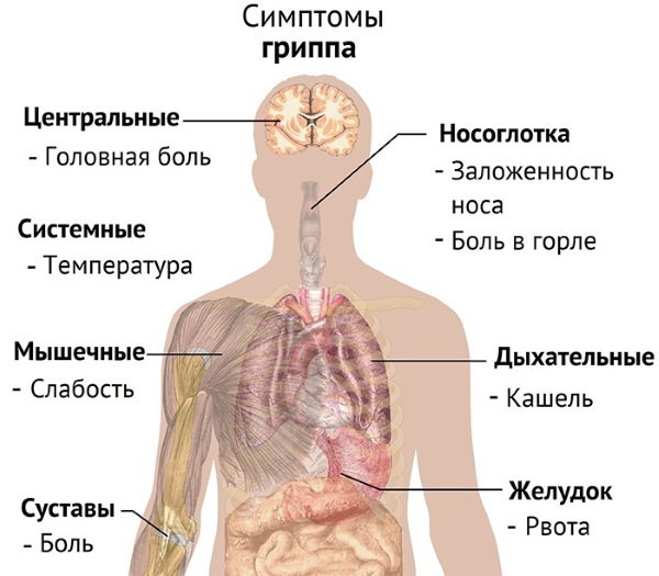 Diseases of the throat and larynx. Photo and description, symptoms