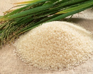 rýžová terapie