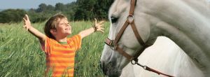 hippotherapy for disabled children