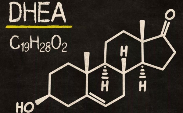 DHEA (dehydroepiandrosteron) sulfat. Hastigheden hos kvinder, mænd, steg, faldt, når de skulle tage