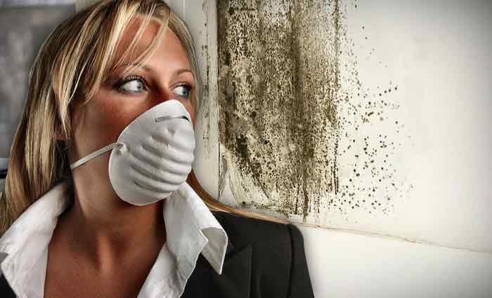 Influence of mold on health