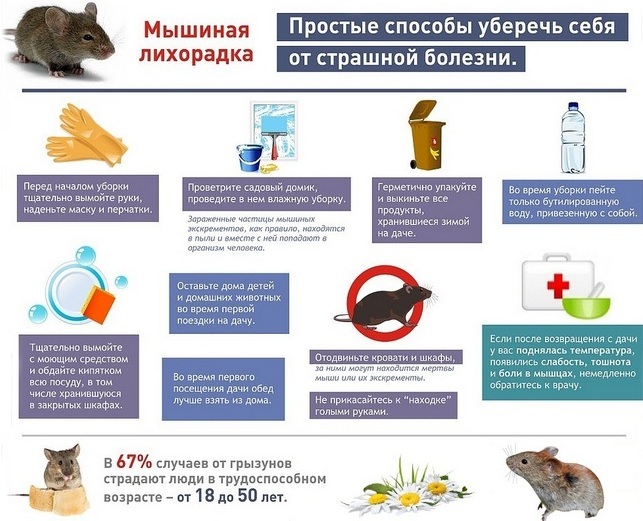 Zoonotic infections. What is it, how are they transmitted to humans, treatment