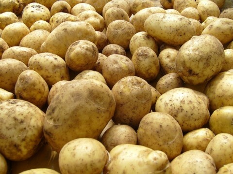 patates