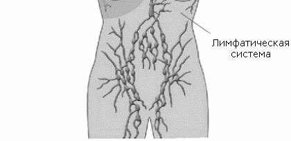 Tratamentul inflamației ganglionilor limfatici în zona abdomenului