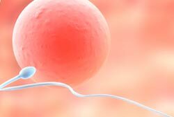 Immunological factor of female infertility