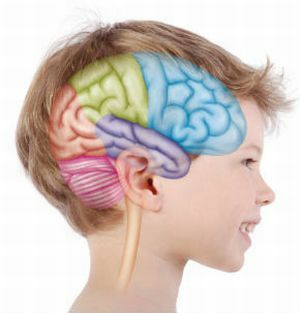 epileptische activiteit in het brein van het kind