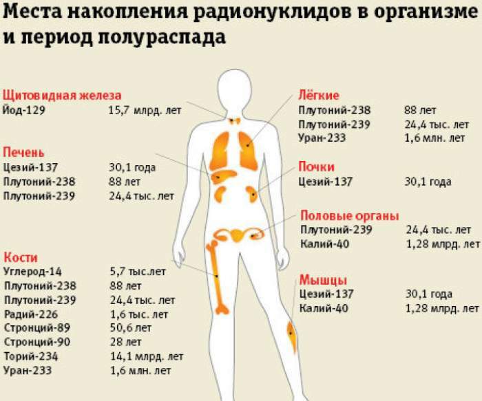 Cesio-137 (cesio radiactivo). Influencia en una persona, qué es, qué es peligroso, dónde se usa, cómo eliminarlo del cuerpo.
