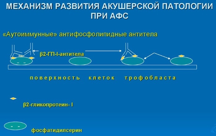 Antiphospholipid antibodies. Analysis, hemotest, what it is, what it shows, preparation for analysis