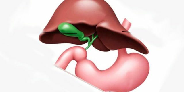 inflection of the gallbladder