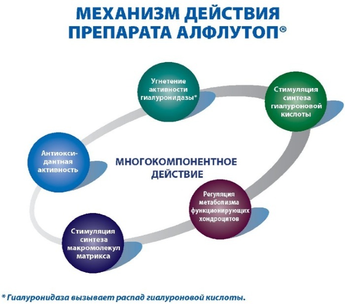 Эффект хондропротекторов