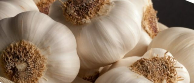 The benefits and harm of garlic