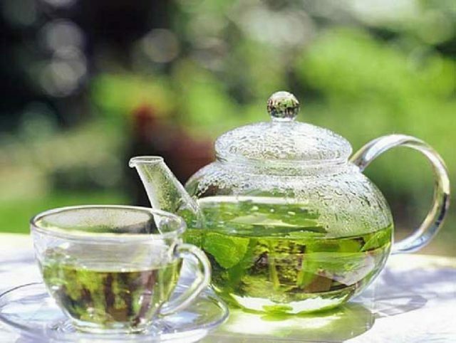 Tēja no viburnāla lapām