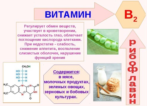 Riboflavin tabletter. Pris, brugsanvisning, anmeldelser