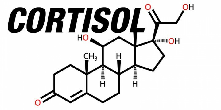 If elevated cortisol in women