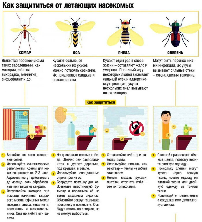 Remède contre les piqûres d'insectes pour les démangeaisons et l'enflure. Commentaires