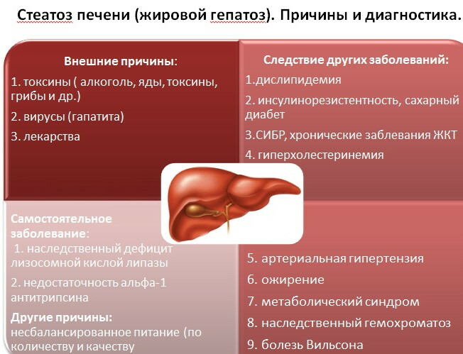 Fatty degeneration of the liver. Causes, treatment, symptoms