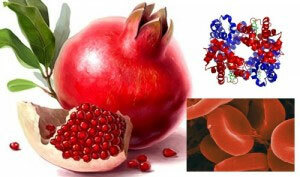 How to increase the level of hemoglobin in the blood