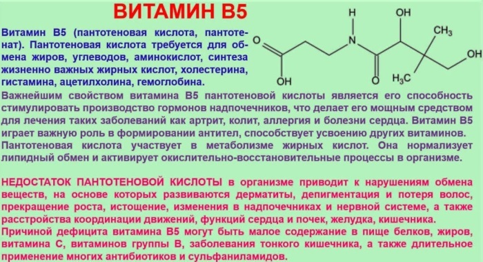 Vitamin B5 in tablets, ampoules. Instructions for use, what does the body need for, price